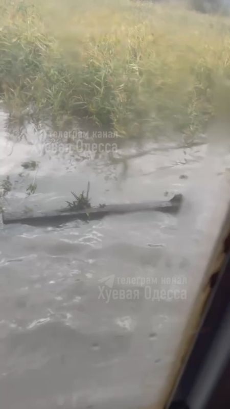 � ������, ���� �� ������, "������" ���� ����������