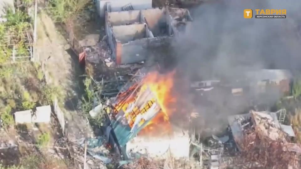 ������� ���� ��������������� ������������ ���������� ���������� ������������ ������ ��� ��� �������