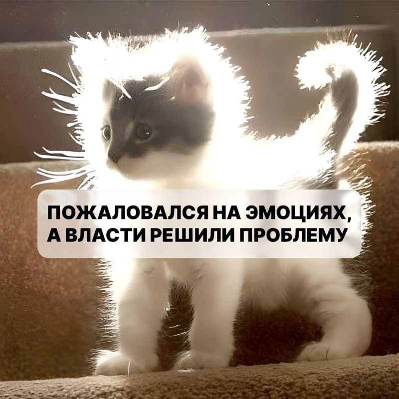 ���� ������ � ��������� �������!