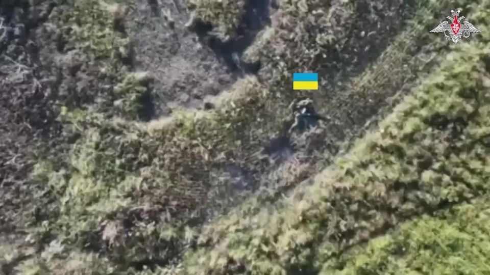 ��������� ������������� 36-� ����������� ������������� ����� ����������� ����� ������� ������� ����� ���������� ��������� ��� ���������� ������� �������� � ���������������� �������