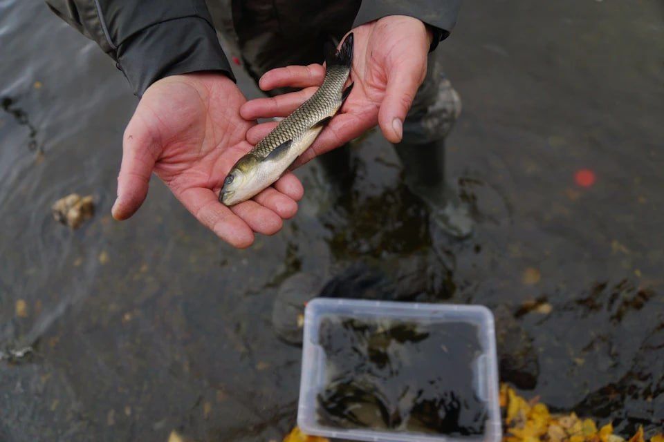 �� ���������� �������� ��������� ������ ����������������� ���������