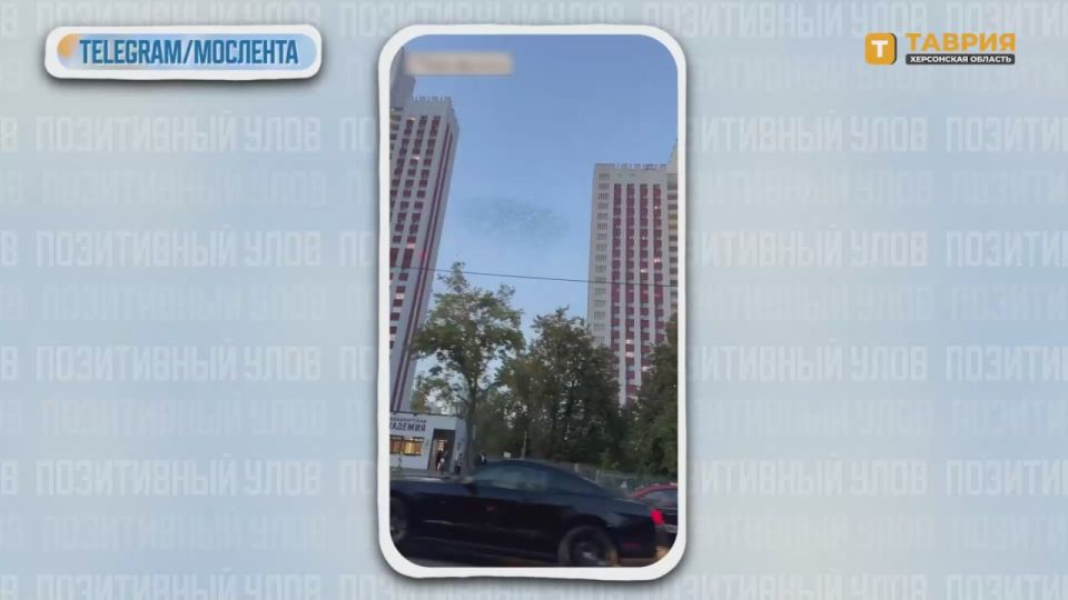 "���������� ����" � �������� ������������ �������� �� ����� ����