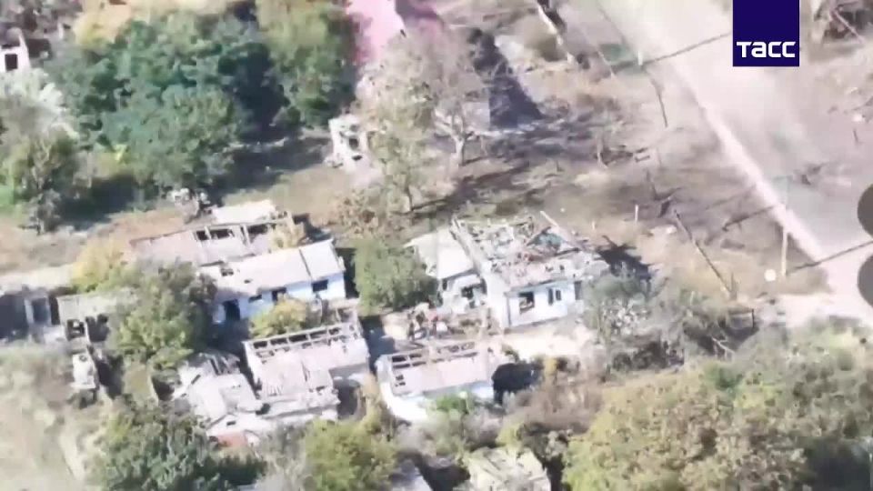 ����� ������������ ��������� � ���������������� �������