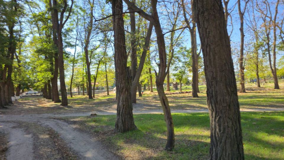 В Скадовском округе благоустроили парки