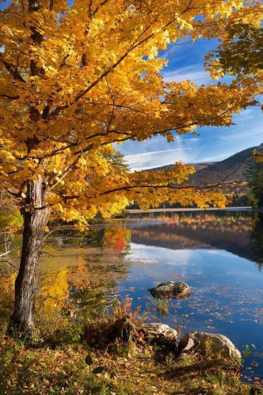 ������ ������� �� ������� , �� ��� ��� �� ������� . � ���� ��������� . �� ������ , ������� , ���� ������� �������