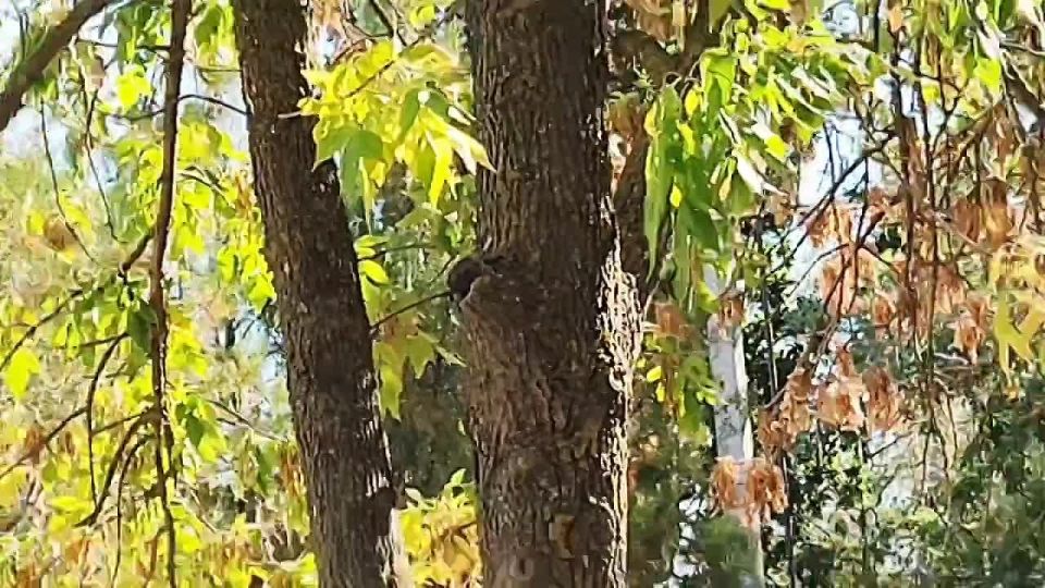 � ������ �����, ������!. ���� �������� ���, �������� ����������, ������� �� ������