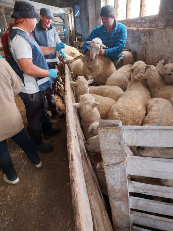 ��������� ���������� ������� � ����������� �������� �������� �� ����������� ������