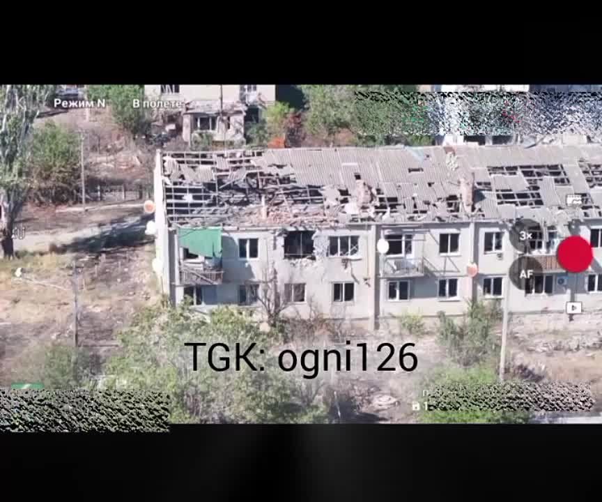 ���������� �����������. ��������