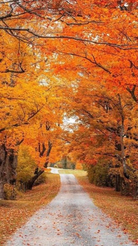 ������ ������� ���������� , ���� ������ � ����� ������ . � ����