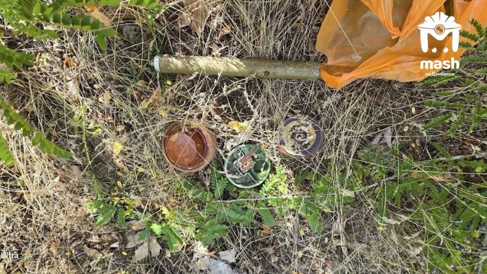 Пакет с самодельной бомбой нашли во дворе школы в Таврийске (Херсонская область)