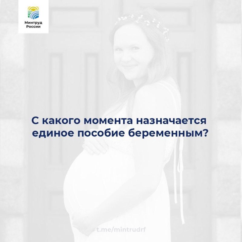 � ������ ������� ����������� ������ ������� ����������