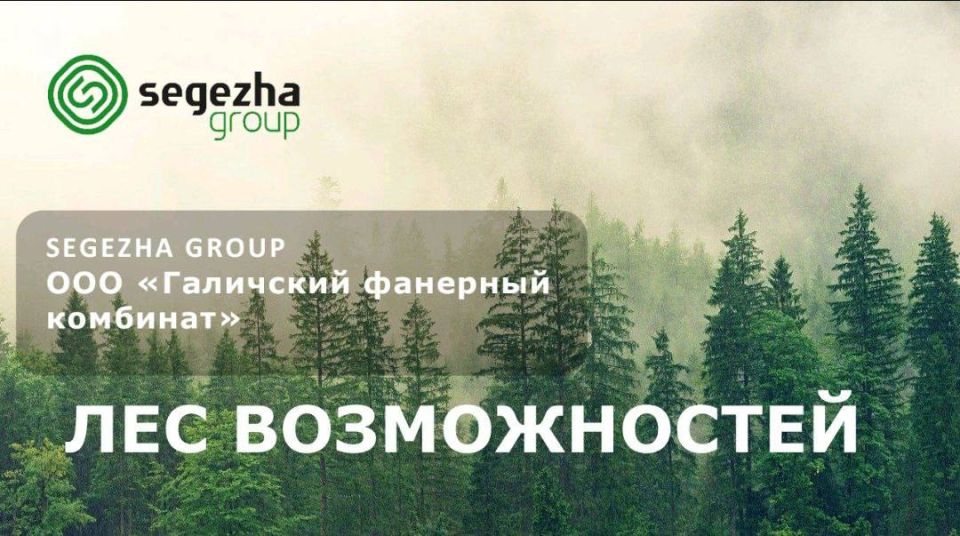 ��� ���������� �������� �������� - ����������� �������� Segezha Group, ������� ��������� �� ���������� ������������ ��������, ������������ ������������� ������