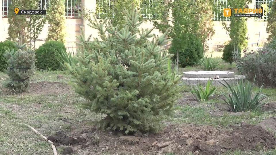 ������� ������� ��� �������� � ����� �������������� �������� �� ���������� ����������� �������������� �����