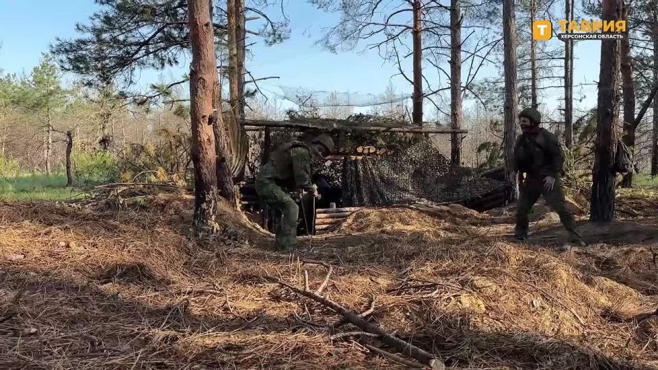 �������� ������: ������� ���������� � ����������� ��������� ������� ������ �����������