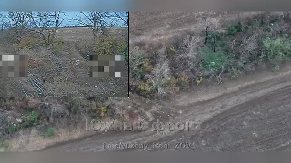 ���� �� �������: ������ ����� ������ ������ ���������� "�����" ����������� �� ����������� ����� ���� ����������