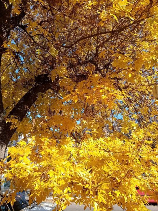 ��������. ���. ���.: ��������� "����������"