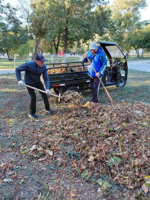 ������ �� ��������������� ��������� � ���������� ������� ����������� ������