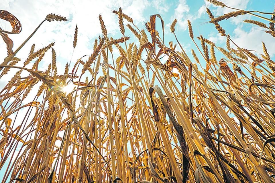 �������� ������� ����� 54% ���������� ������� � ����������������� ��������