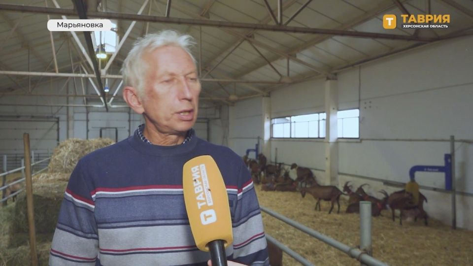 ����� 1 300 ������ ������ ���������� ��� ��������� �������� �� ����������� � ����������