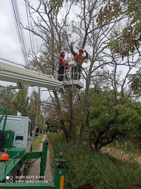 � ���������� ������� ����������� ������ ������������ ������ �� ���������������