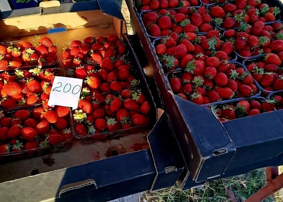 �������� ������: ���� ��������. ���� ����. ���� ����