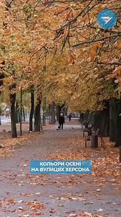 ������, ���� 03.10.2025. ����� �������, �������� � 22:30, ��� ������� ������ � ������ ������ � ������ ������