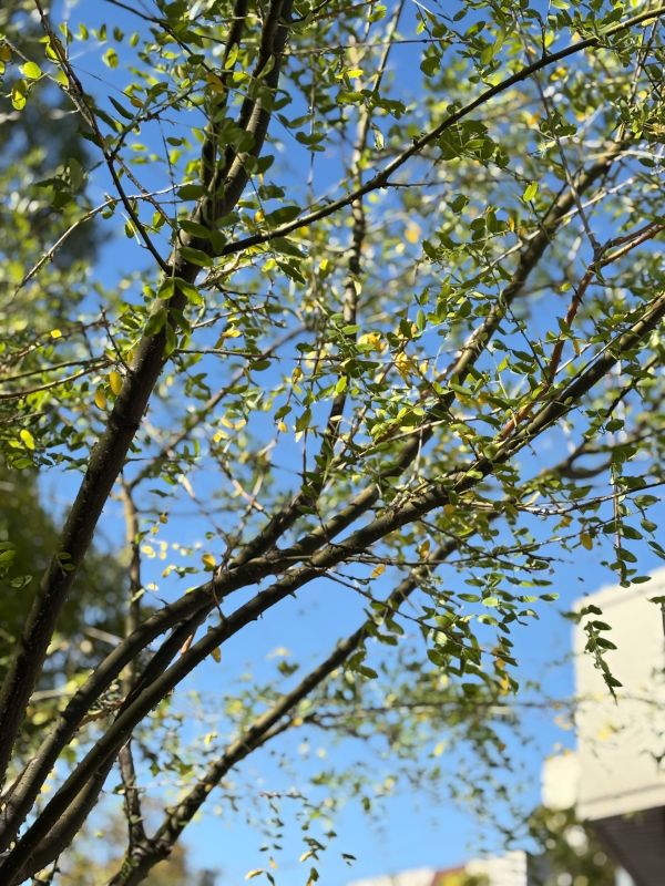 Доброе утро, новокаховчане!