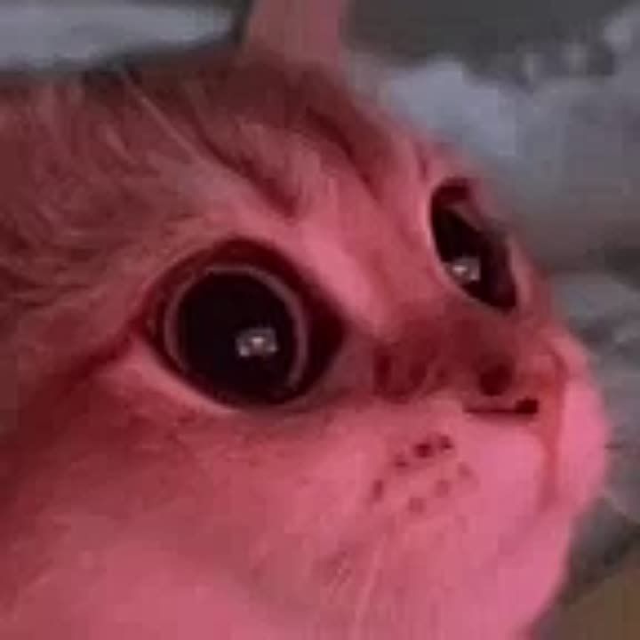 ��������� �������� ���������� � �������� �������, ������� ������ ������ ����������