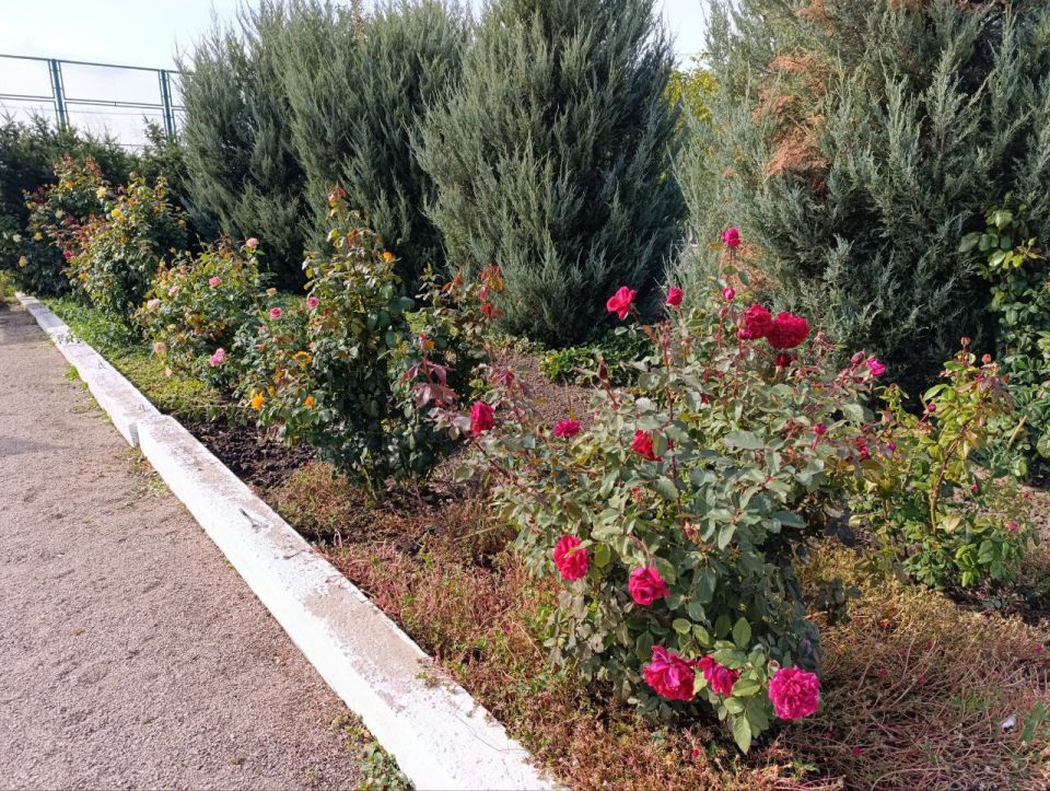 ������ ����, ������ ���������� �������������� ������!