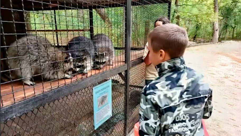 � ����������� ��������-���� �������� ��������� ���� ������ ��������