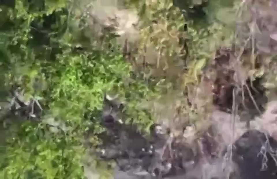 ����� ��� ����� ���������� ��������� ����������� � ������ ������ ����� ����������