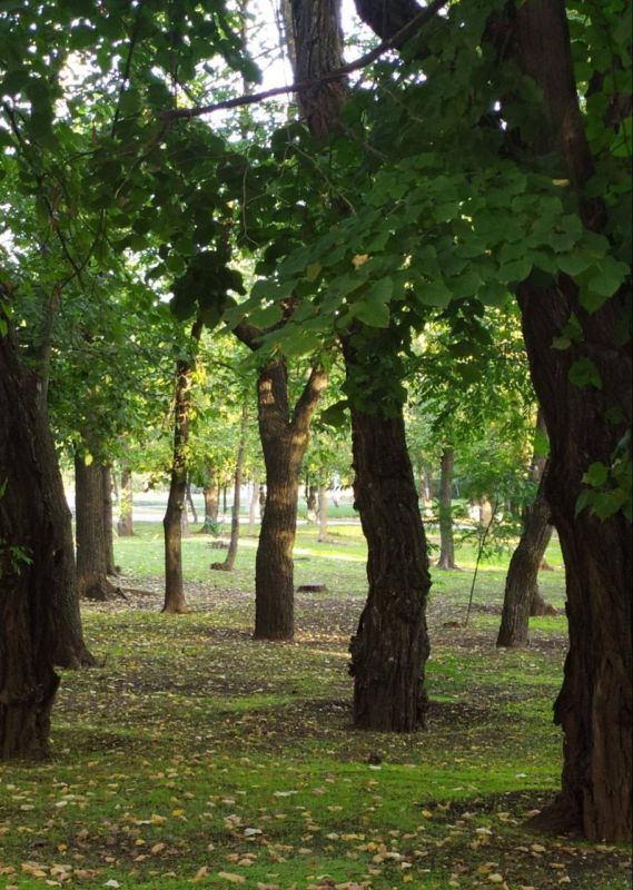 ������ ����, ������ ����������� ������!