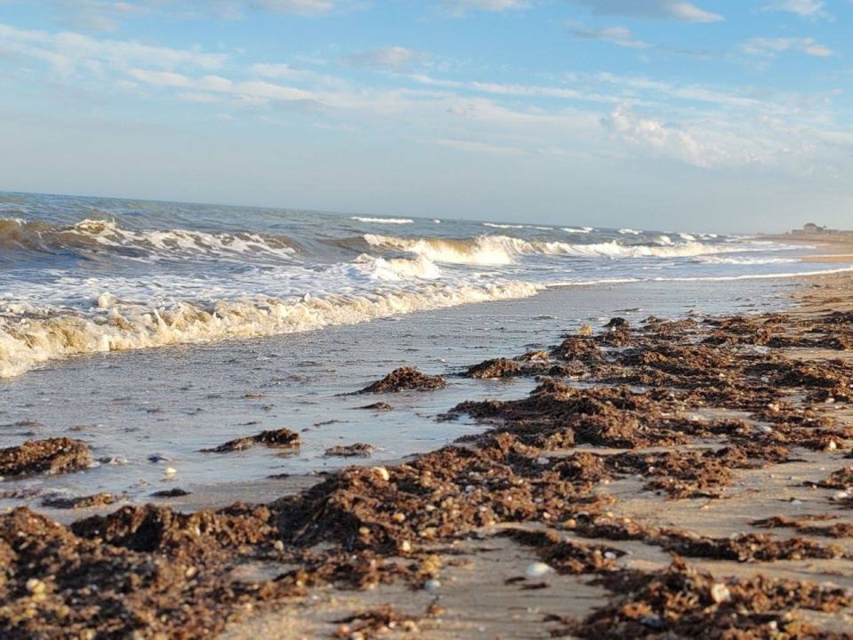 ����� ����������: ������� ���������� ���������!