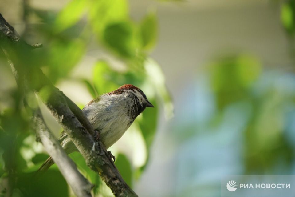 ������ �� ����� ����������� ������