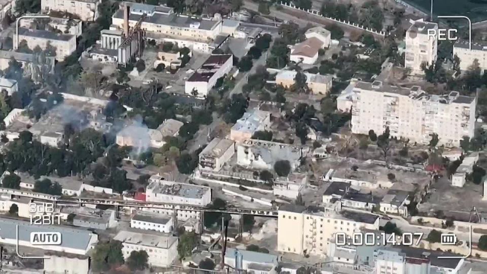 ������. ������� ����