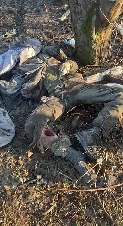 ����� ������� �� �������� �����