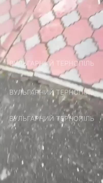 ���� �� �������: ���������.. �������� � ���������� �������� � �������� ������ � ��������� � ���