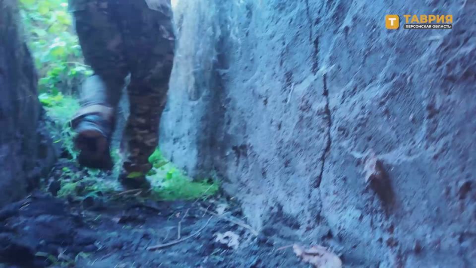 ��������� FPV-������ ����������� ����� "�����" ���������� ������ ������������� ������ � ������ ���������� � ���� ������������