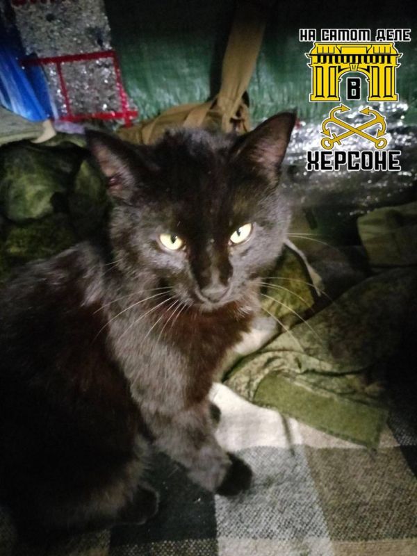 ���� ���������� ������� ���� � ������������