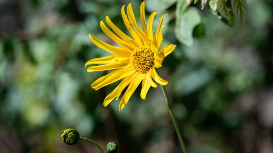 �������� ������: �������� � ��������� ��������� ��������� ���������� �������