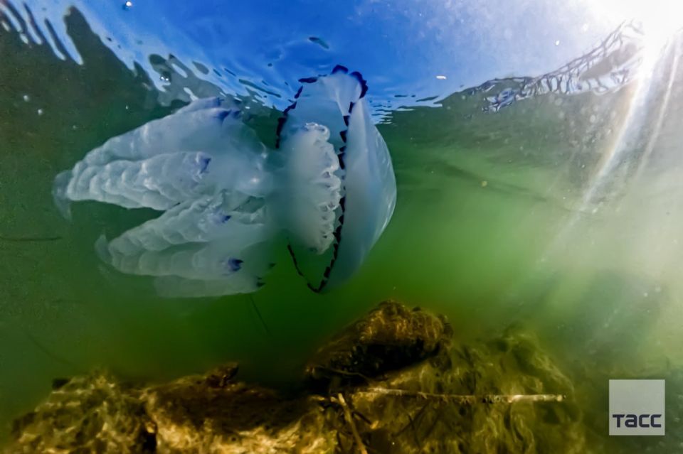 #�������_����. ������ � �������� ���� � ���������� �������