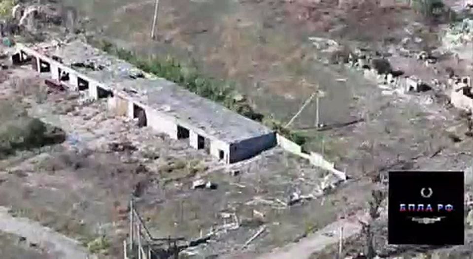 ����� ������������ ������� 85 ����� ���������� ������ ��������� � ���