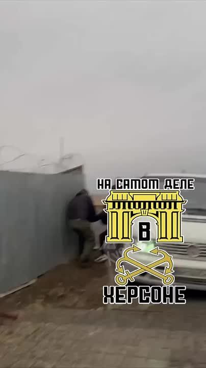 ������. ��������� ��