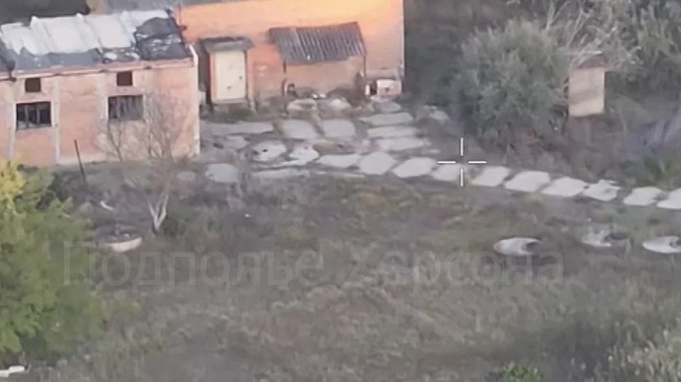 ������. �������������� 18 �� ��� "�����" ���������� �������� �������� � �. �����������. � ���������� ��������������� ����� ��������� ����� ��������� ���������� ���