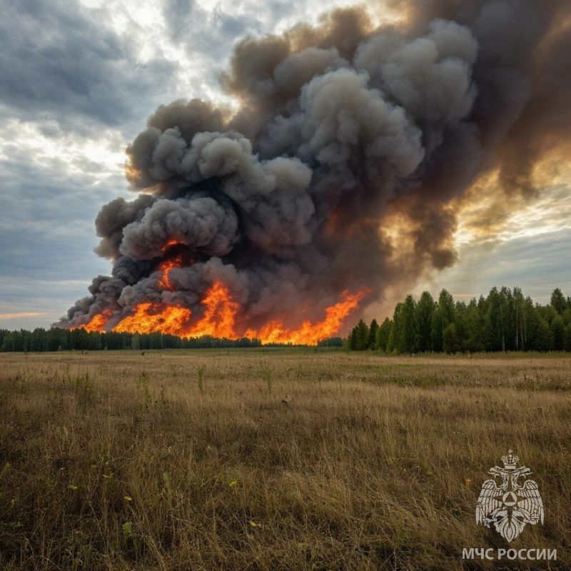   .   ,              :    5 000  15 000 ;