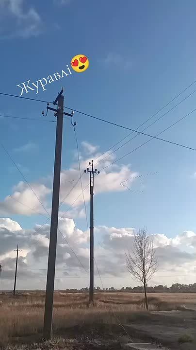 �������������. ���� �������� � �������� ���� ��� ��������