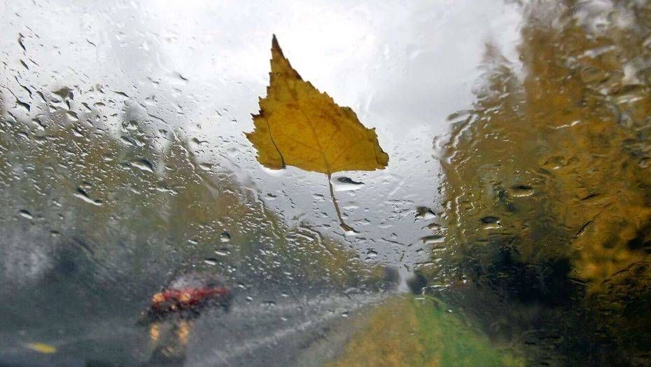 ������� ������. ��������� ������������ ��������� ������ � ���������� ������� - � ������� � ������������