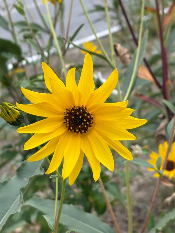 Доброе утро, новокаховчане!