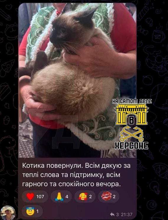 ����, ����������� � �������� ������� ����������� ��������, ��������������� � �� ����� � �������