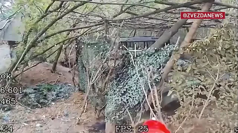 ����������� ���� ��������� ���� ��������� ������� � ����������� �������